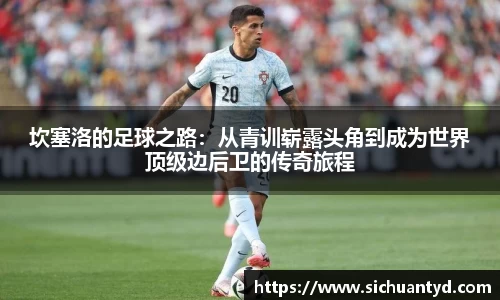 坎塞洛的足球之路：从青训崭露头角到成为世界顶级边后卫的传奇旅程